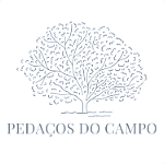 logo-pedacos